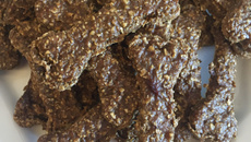 Biscoito canino fácil