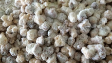 Pipoca de leite em pó e chocolate branco