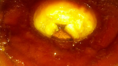 Pudim caseiro da vó erna