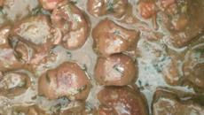 Mamãe fazia eu faço