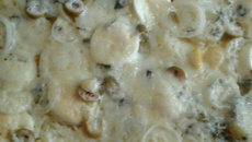 Bacalhoada simples e gostosa