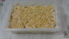 Salada de batata (ótima para acompanhar churrasco)