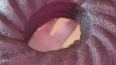 Brigadeirão de micro-ondas