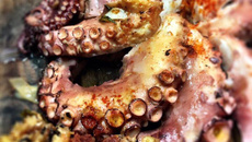 Pulpo(polvo) à galega/à la feria