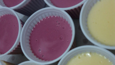 Mousse de gelatina de morango