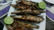 Sardinha frita