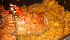 Risoto de Lagosta