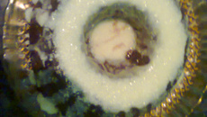 Bolo de chocolate sem fermento e farinha