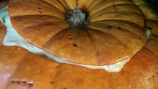 Camarão na moranga tim tim por tim tim