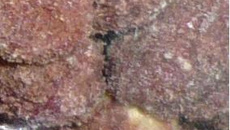 Amendoim japonês de micro-ondas