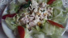 Salada Especial da Grazzy