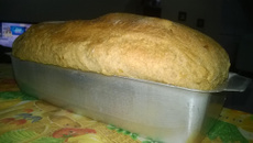 Pão integral especial da Gel