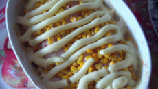 Filé de frango com requeijão rápido