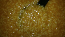 Sopa de Cenoura