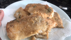 Filé de dourado empanado