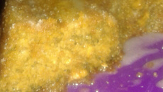 Bolo de cenoura com aveia e granola