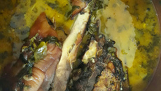 Cabeça de porco no tucupi