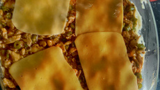 Suflê de frango especial