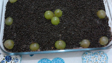 Pavê de chocolate com frutas