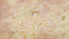 Bolo de liquidificador