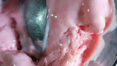 Sorvete de danoninho