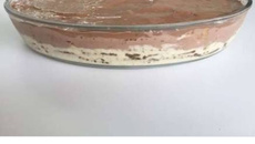 Torta de bolacha perfeita e simples