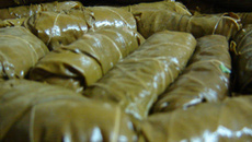 Sarmá - charutos folha de uva - receita Armênia