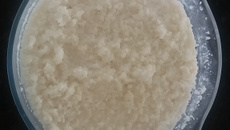 Cuscuz de tapioca da Vivi