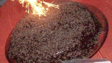 Bolo de chocolate do Nuim