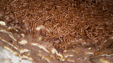 Pavê de chocolate