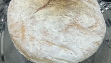 Ciabatta