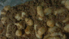 Nhoque à bolonhesa simples