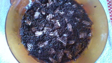 Bombom de travessa com granulado