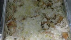 Macarrão com molho e frango desfiado