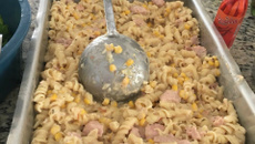 Macarrão com linguiça ao molho de requeijão