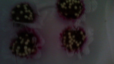 Brigadeiro de Ovomaltine