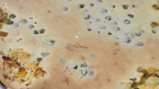 Empadão de liquidificador