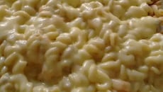 Macarrão com atum ao molho branco e queijo mussarela