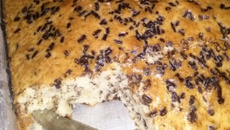 Bolo simples ideal para festas