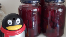 Beterraba na conserva