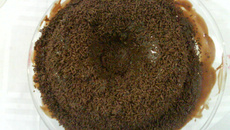 Bolo de chocolate com avelã