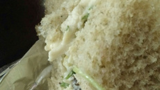 Pasta de frango para sanduíche natural