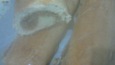 Pão recheado de carne