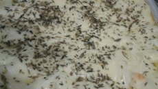 Lasanha de carne moída ao molho branco