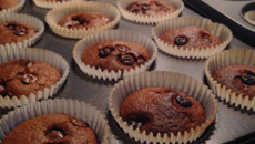 Muffins de chocolate