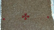 Bolo de brigadeiro cremoso