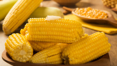 Milho cozido