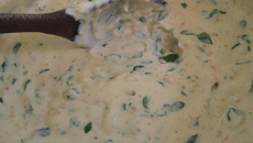 Creme de espinafre com ricota