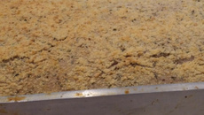 Torta integral de atum