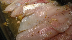 Filé de Peixe ao molho de alcaparras